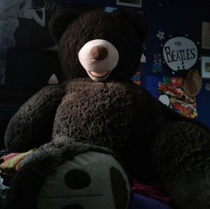 My stuffed bear named beary manillow